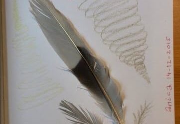 Crea