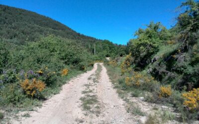 Seguimos avanzando…