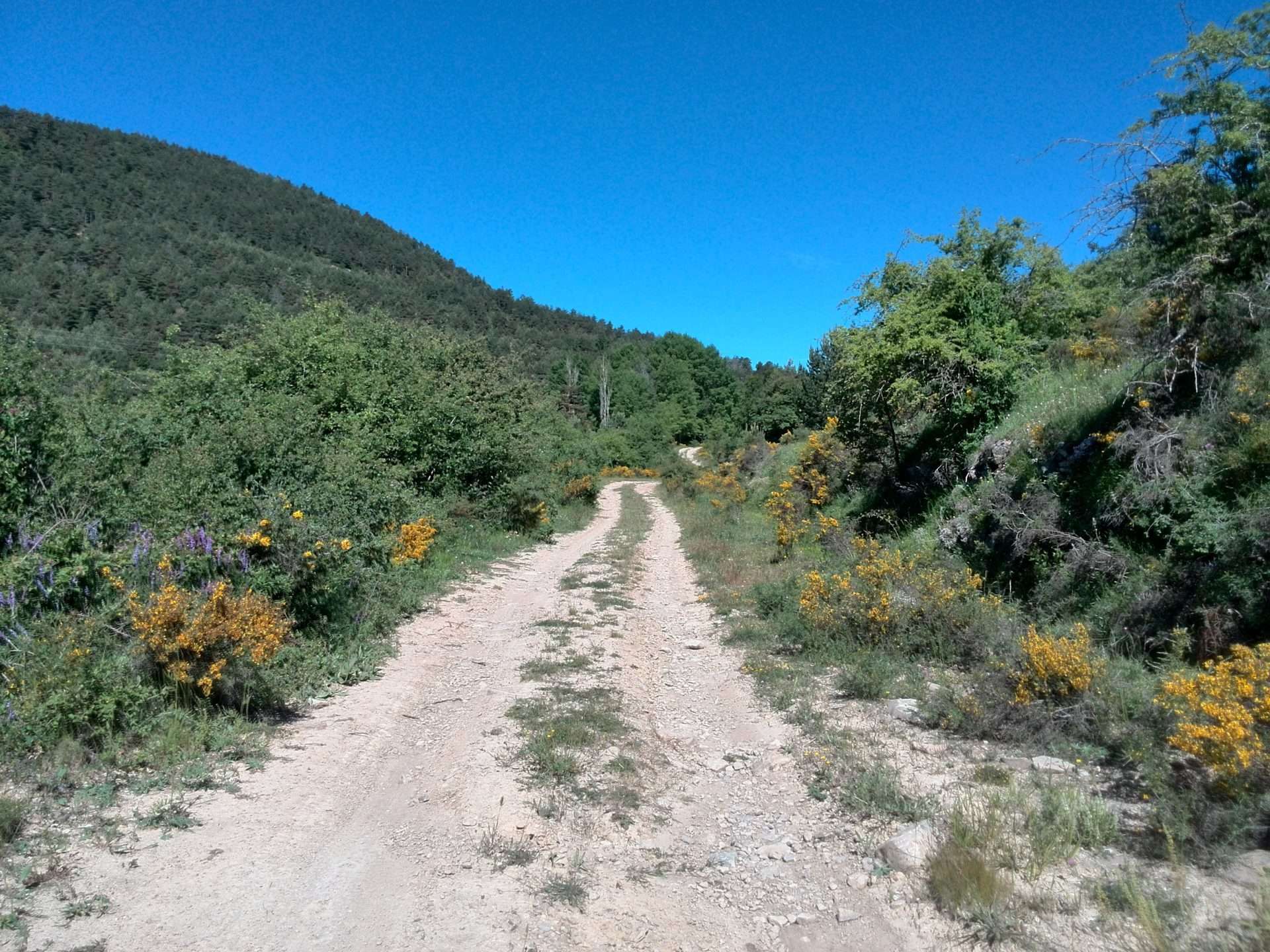 Seguimos avanzando... Seguimos avanzando...