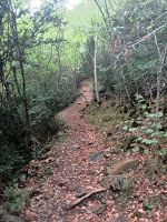IMG_20161002_123109