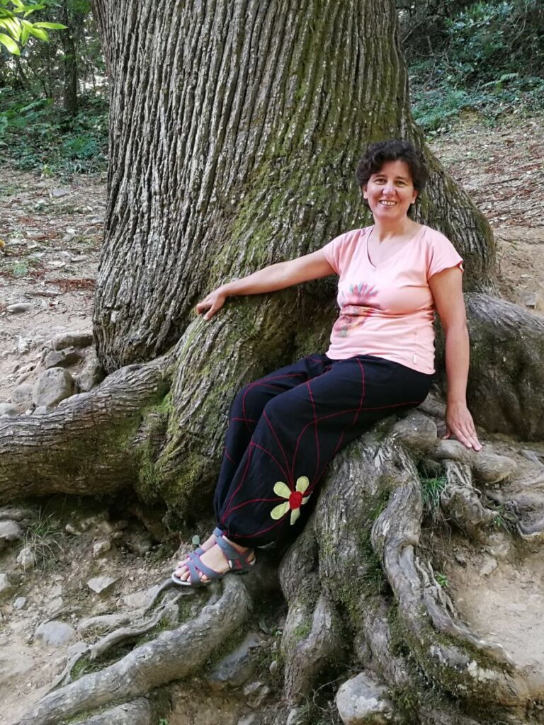 Anaís raíces árbol Anaís raíces árbol